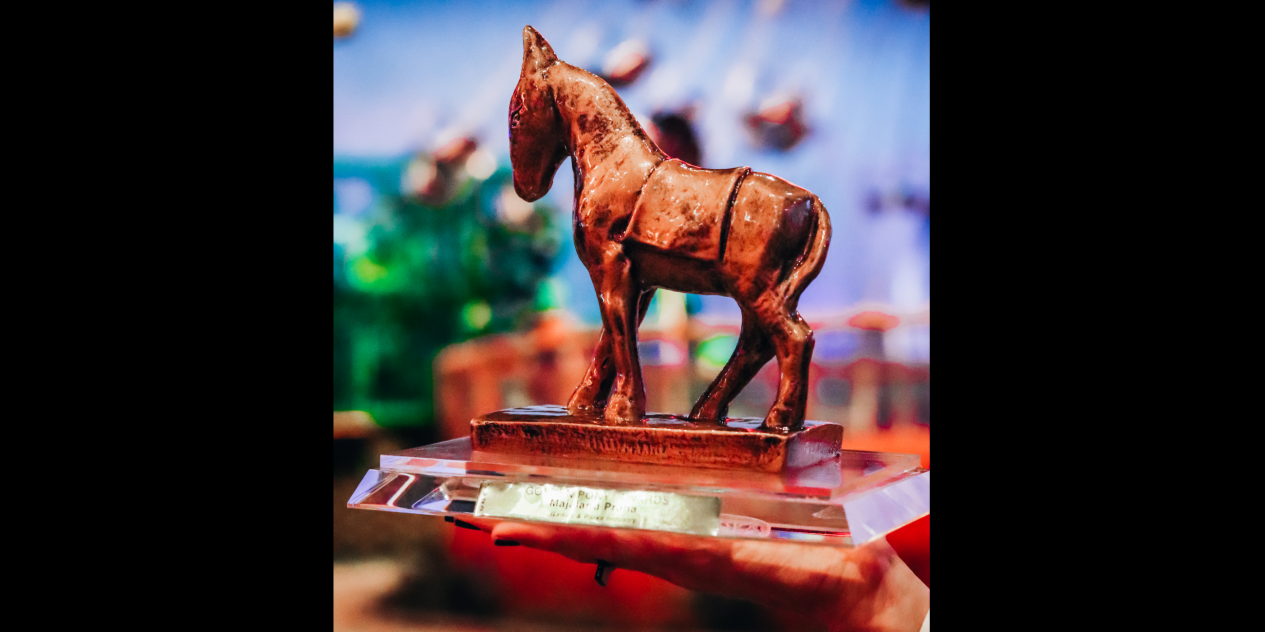 Mayaland won the international Golden Pony ® Award (GPA)